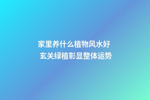 家里养什么植物风水好  玄关绿植彰显整体运势